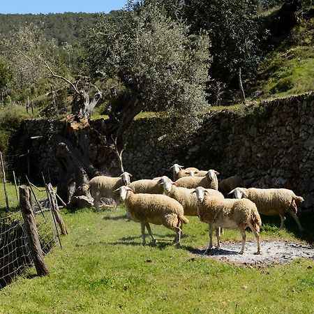 Agroturismo Ca Sa Vilda Marge Villa Sant Joan De Labritja Exterior foto