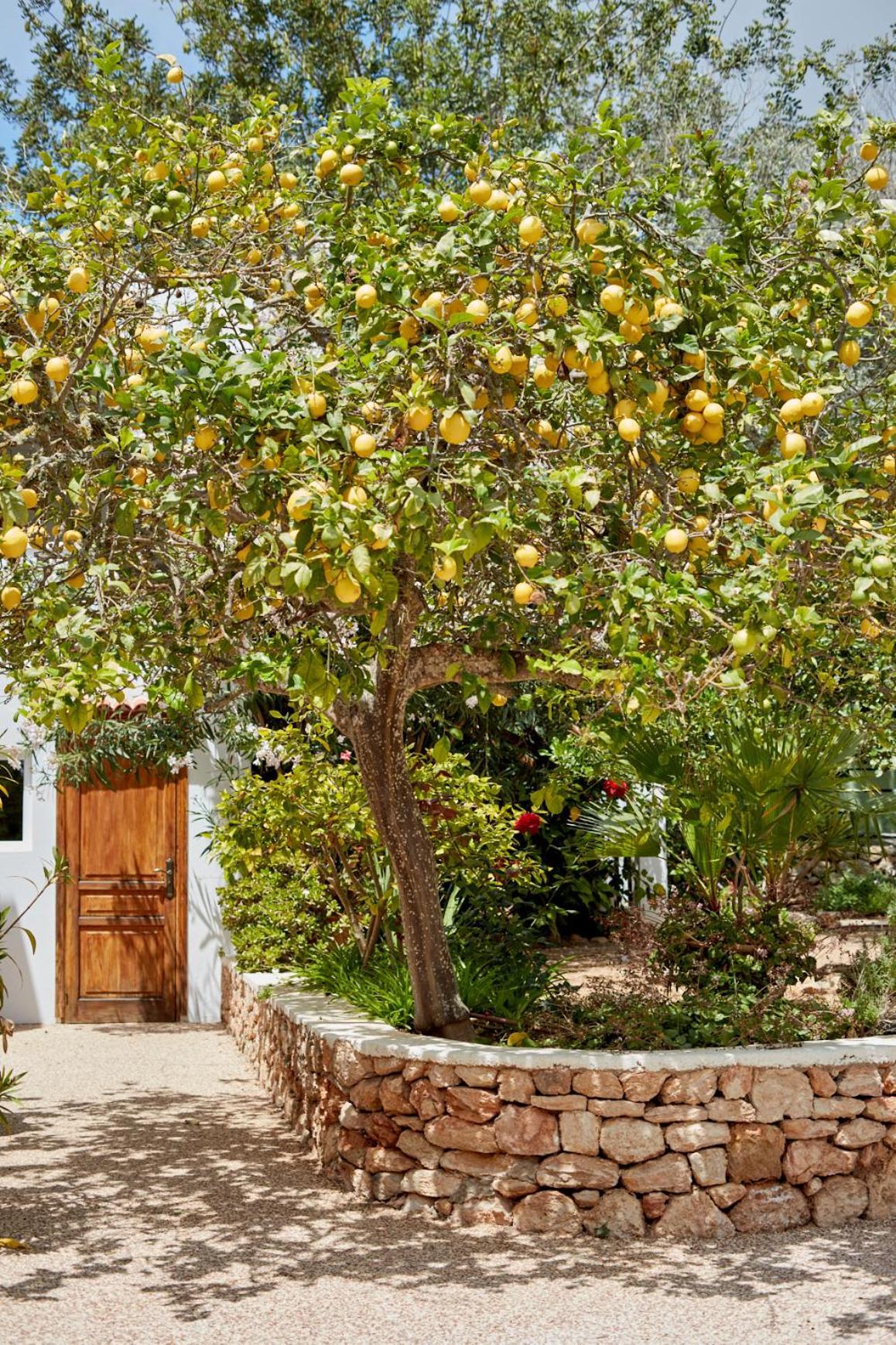 Agroturismo Ca Sa Vilda Marge Villa Sant Joan De Labritja Exterior foto