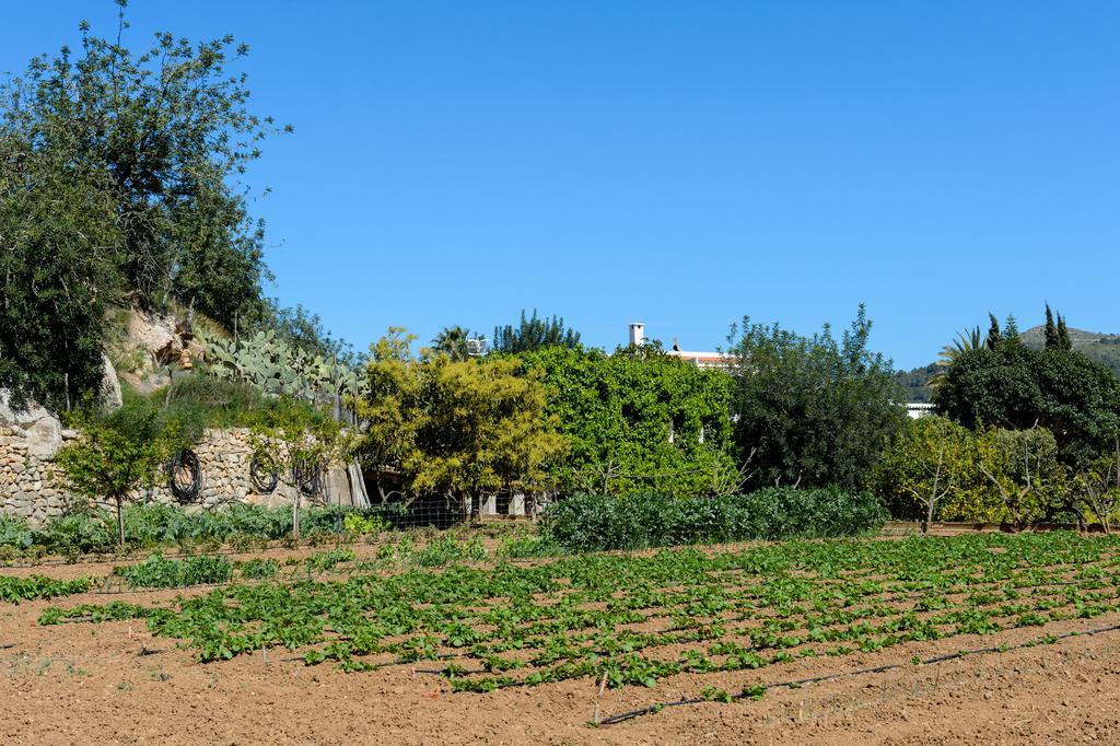 Agroturismo Ca Sa Vilda Marge Villa Sant Joan De Labritja Exterior foto